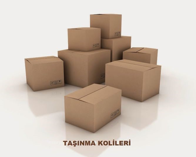 Taşıma Kolileri